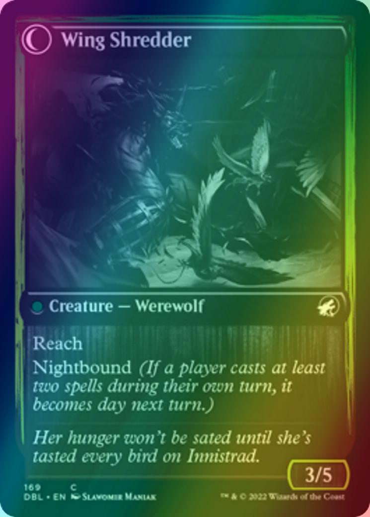 Bird Admirer // Wing Shredder [169] [Innistrad: Double Feature] [Foil]
