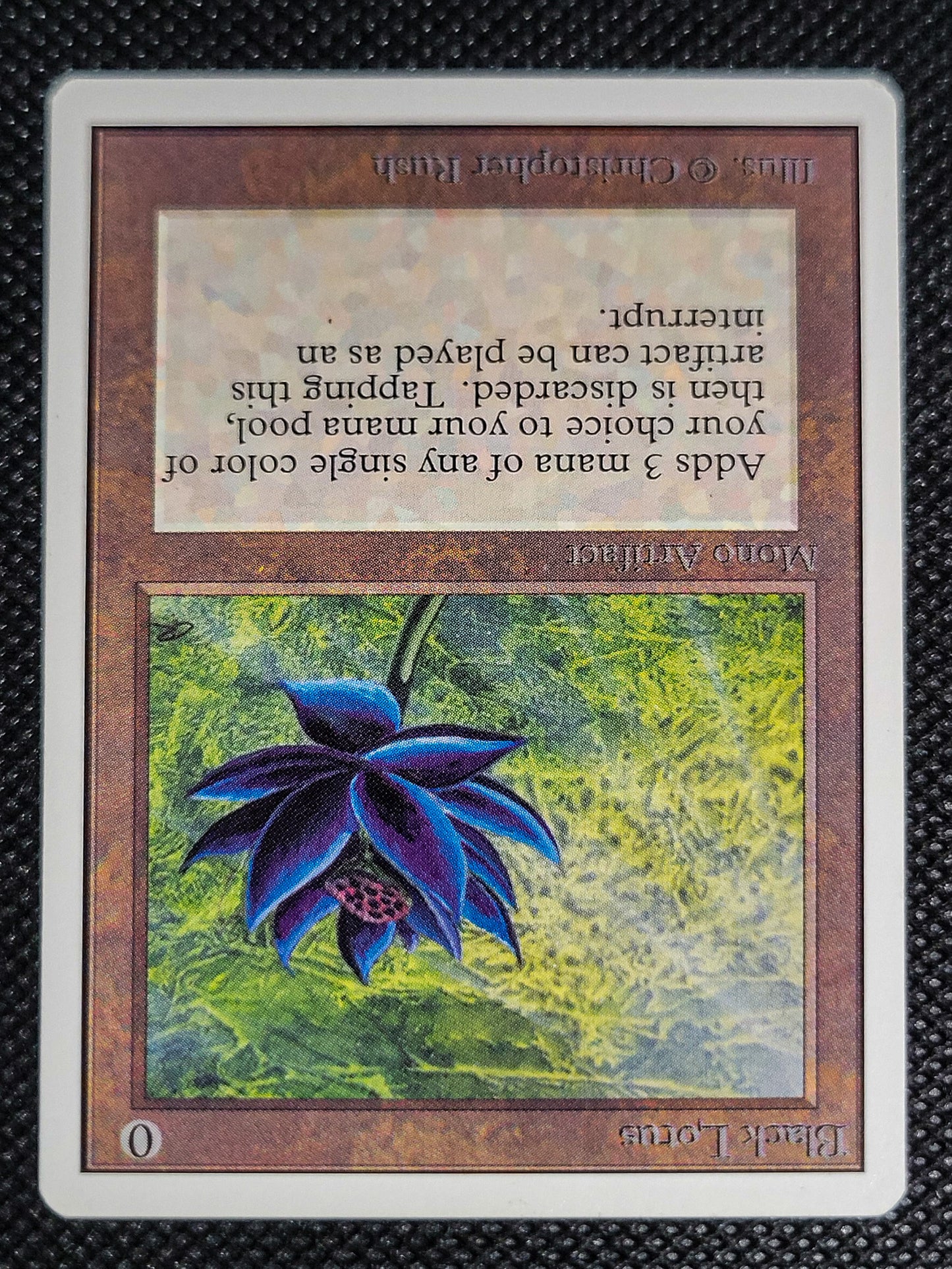 SIN-SCAN-16555_d