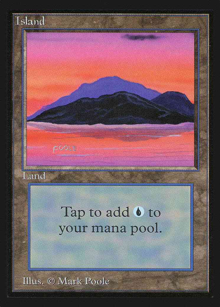 Island [Right Island] [293] [Intl Collectors Edition] [Non-Foil]