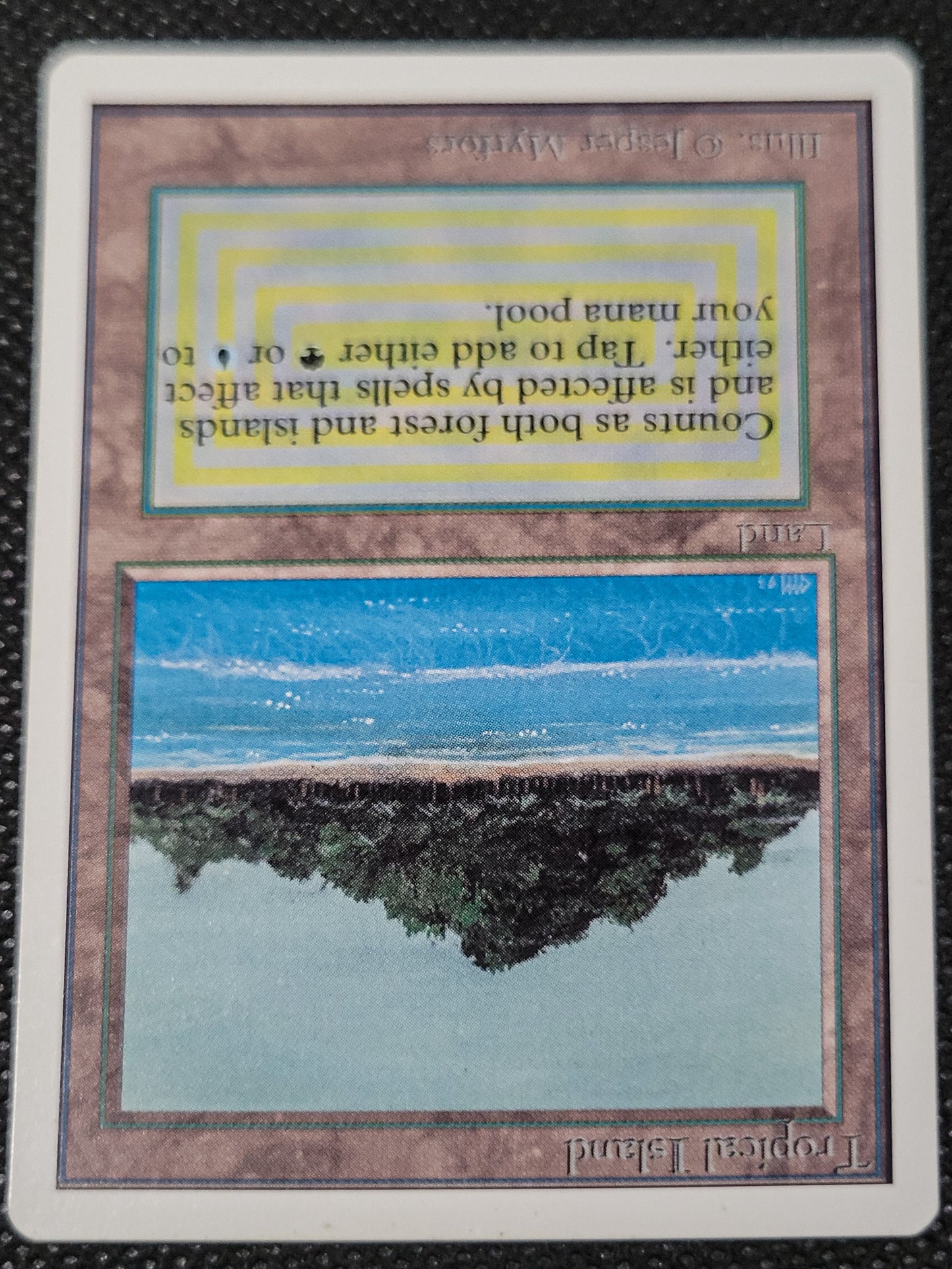 Tropical Island — Damaged — ID 16970