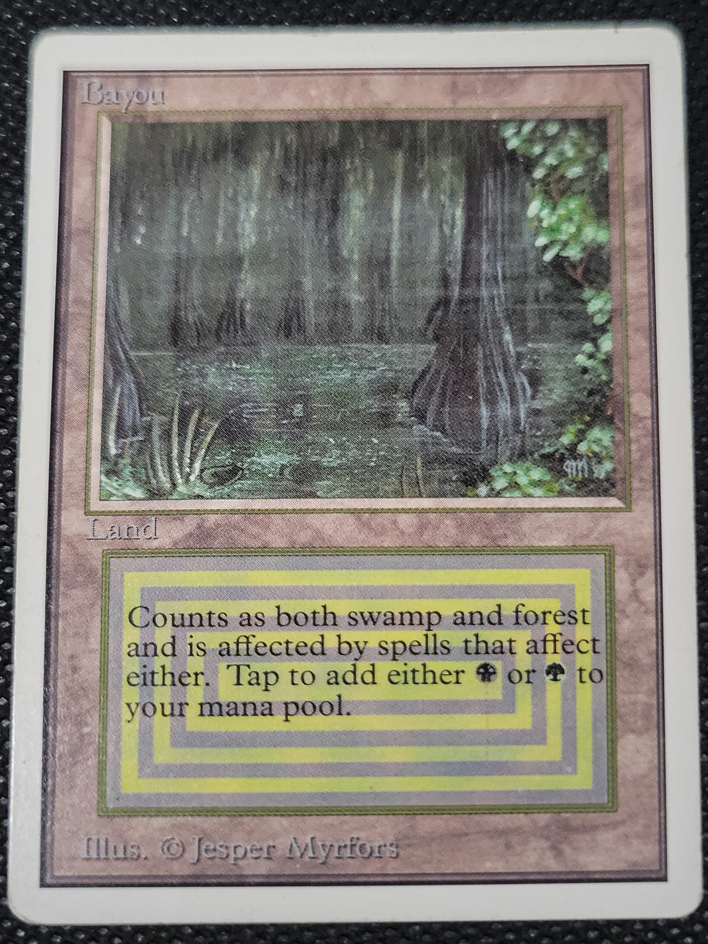 Bayou — ID 17004