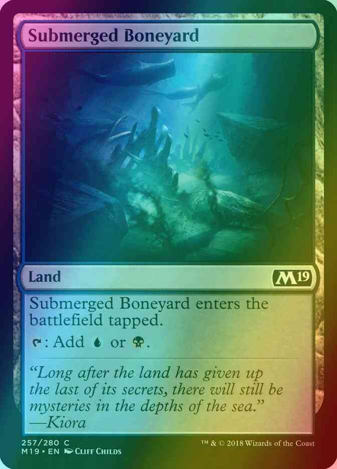 Submerged Boneyard [257] [Core Set 2019] [Foil]