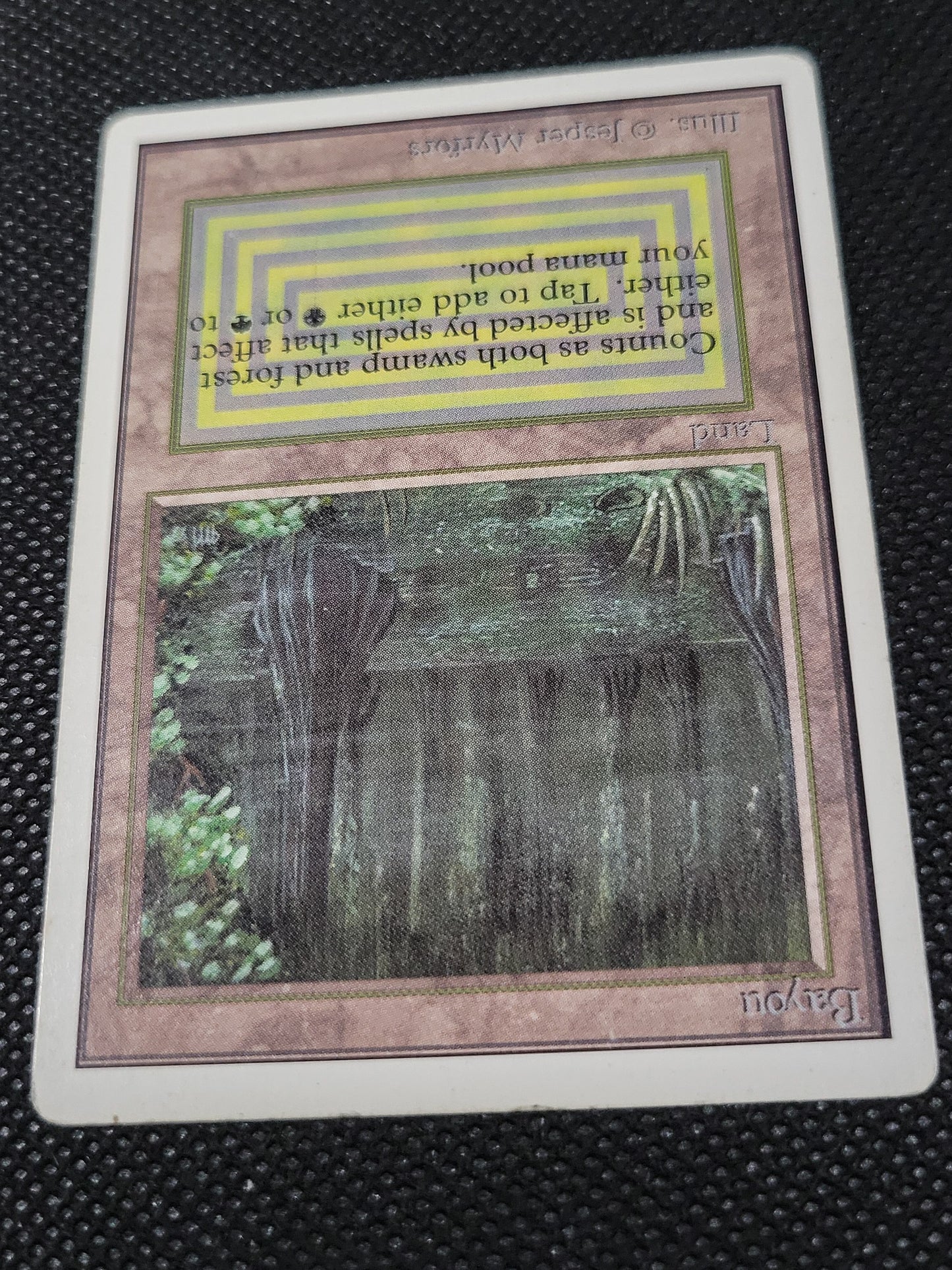 Bayou — ID 17004