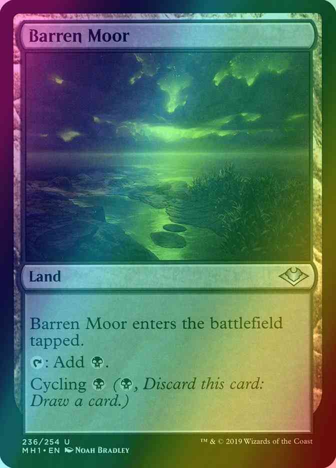 Barren Moor [236] [Modern Horizons] [Foil]