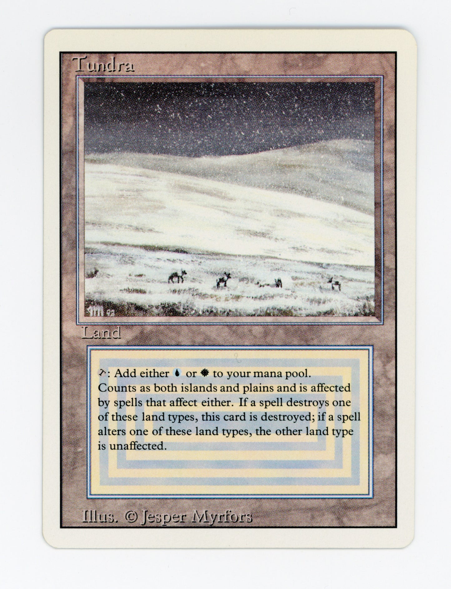 Tundra — ID 18928