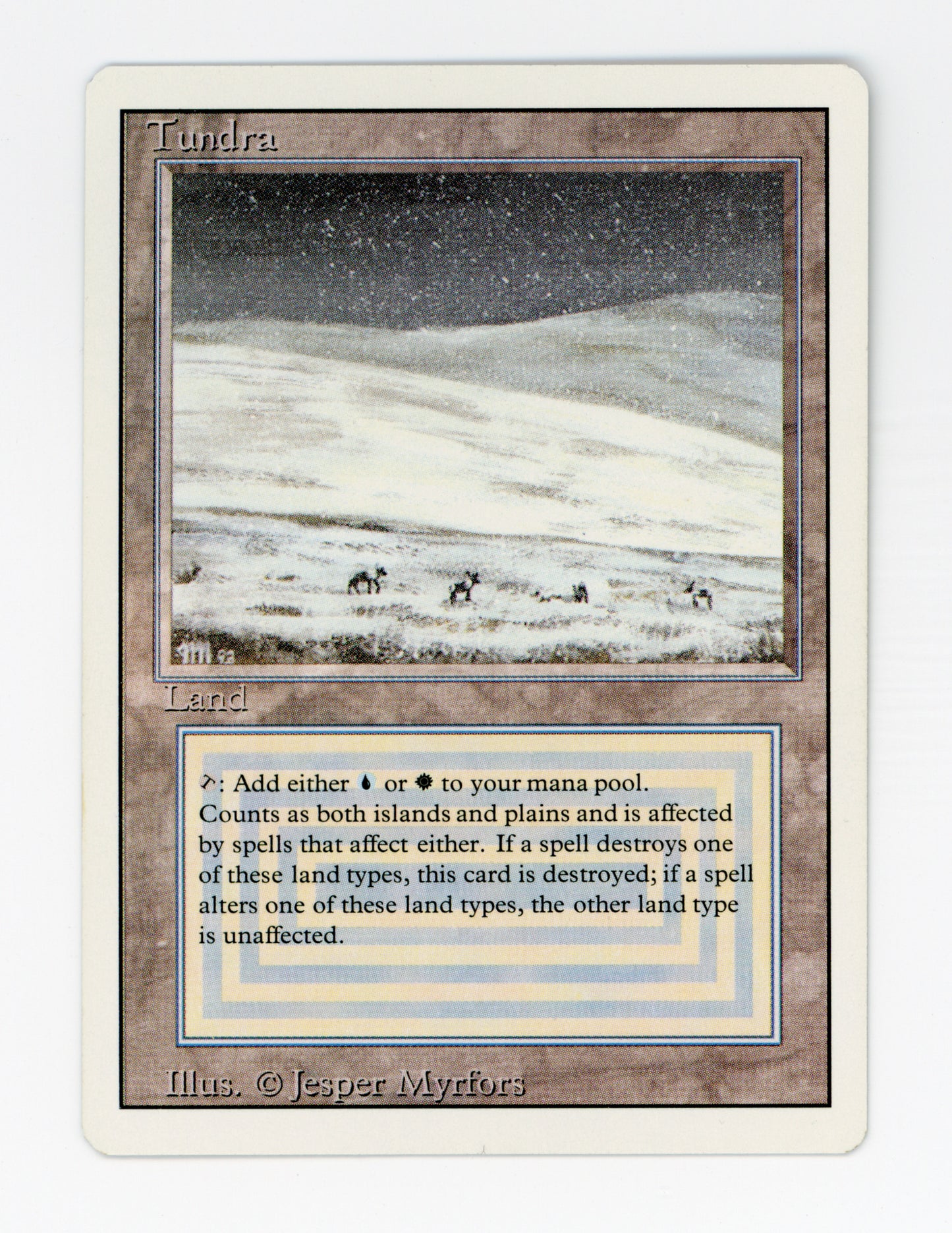 Tundra — ID 18480