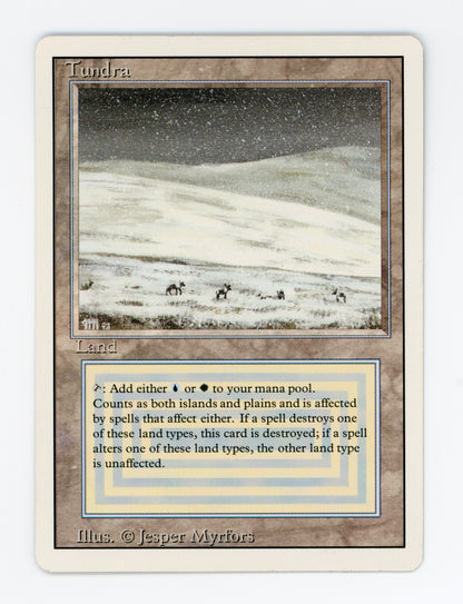 Tundra — ID 17528
