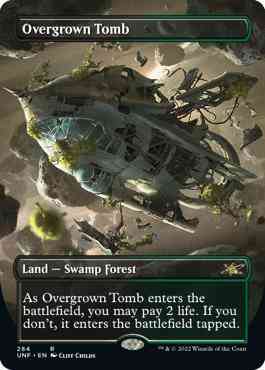Overgrown Tomb [284] [Borderless] [Unfinity] [Non-Foil]