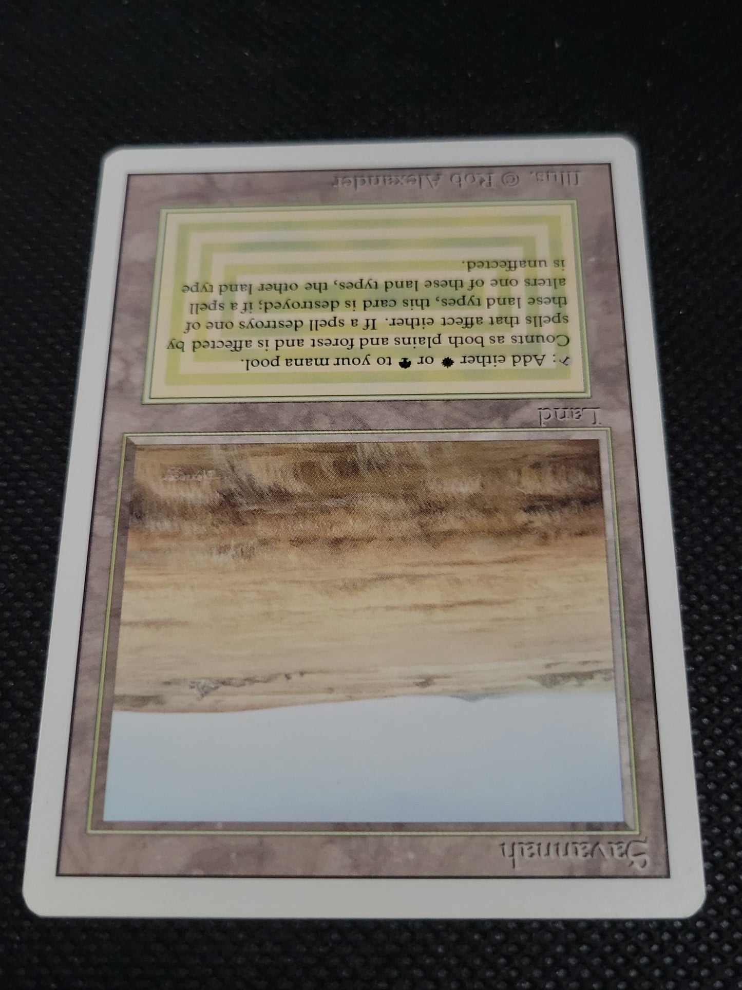 Savannah — Damaged — ID 17387