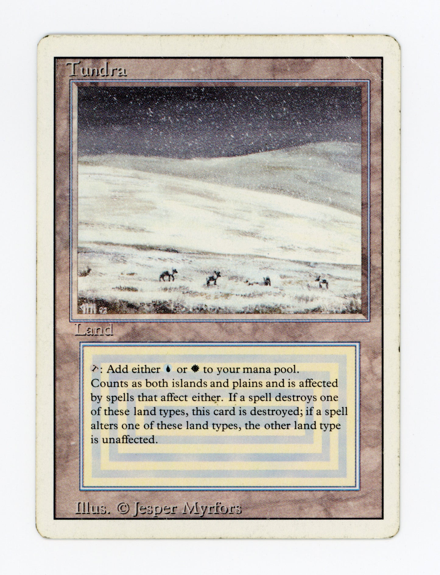 Tundra — Damaged — ID 18188