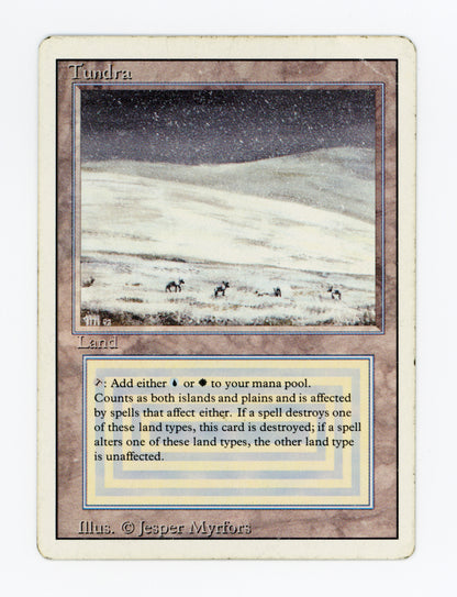 Tundra — Damaged — ID 18188