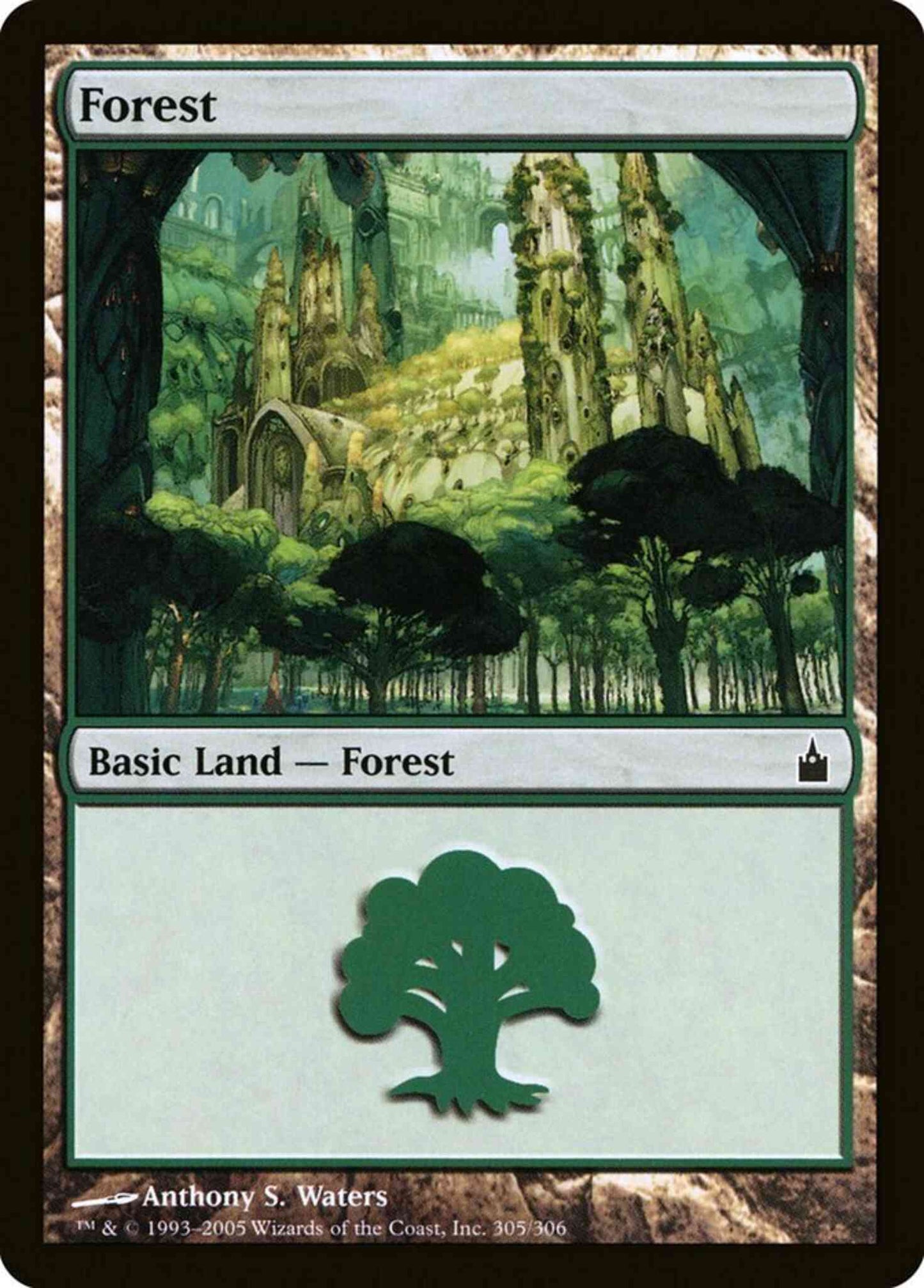 Forest [305] [Ravnica City Of Guilds] [Non-Foil]