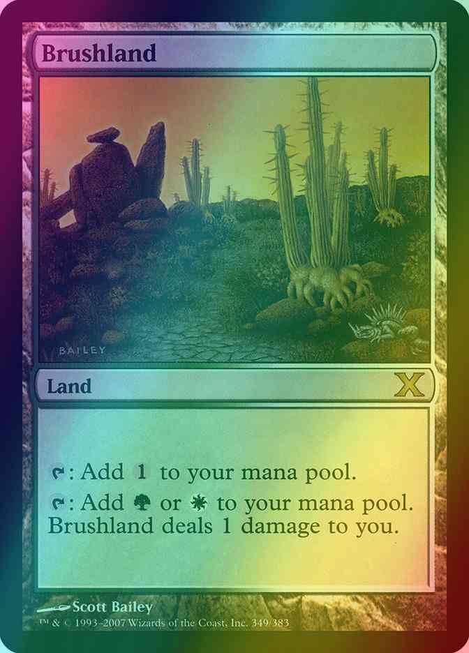Brushland [349] [Tenth Edition] [Foil]