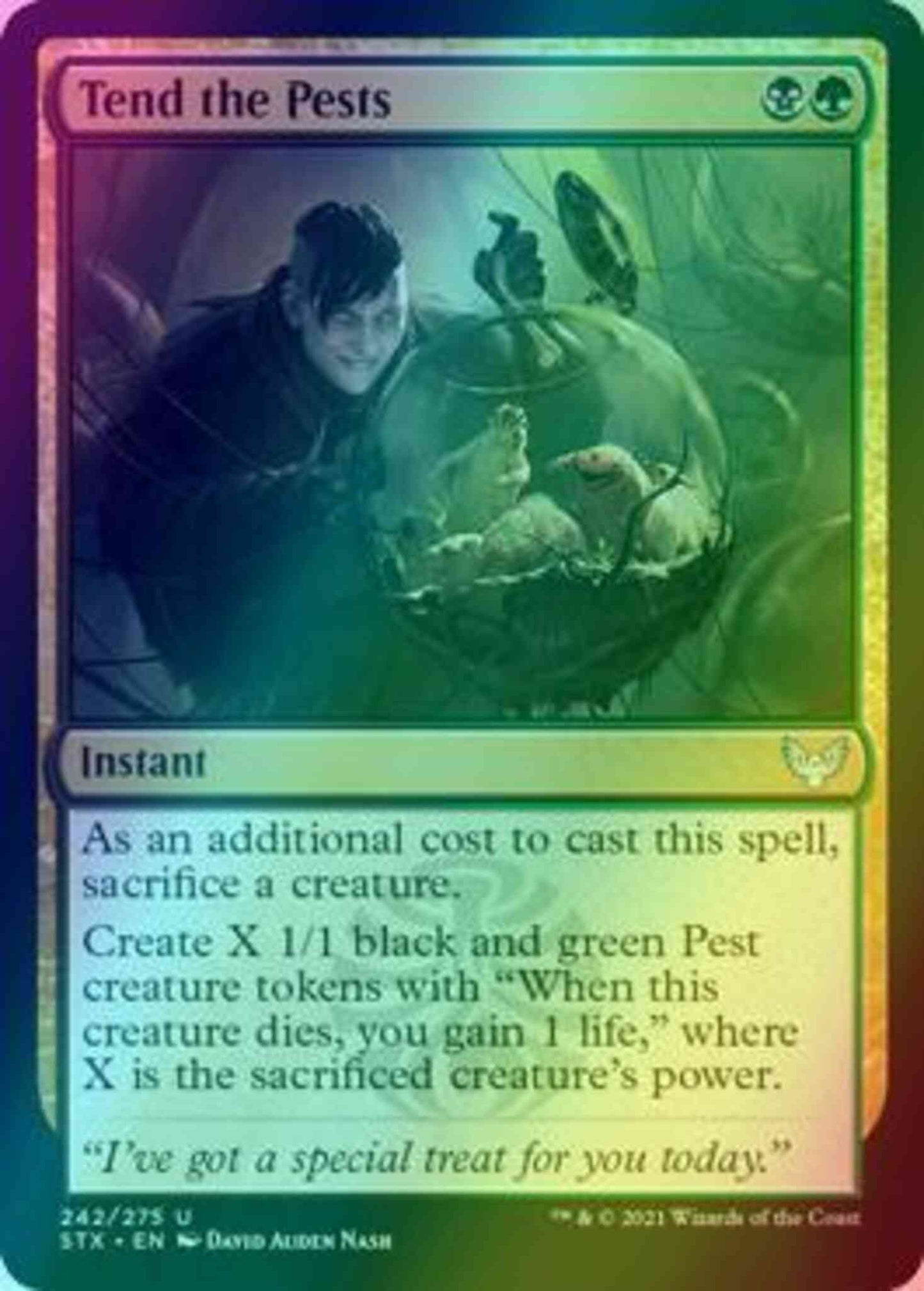 Tend the Pests [242] [Strixhaven: School of Mages] [Foil]