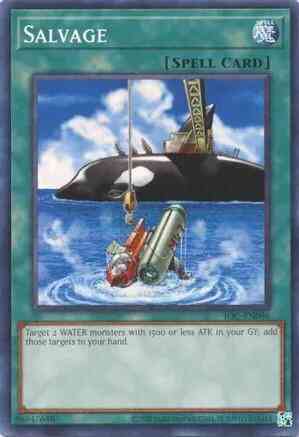 Salvage - 25th Anniversary - IOC-EN096 - Common - Unlimited