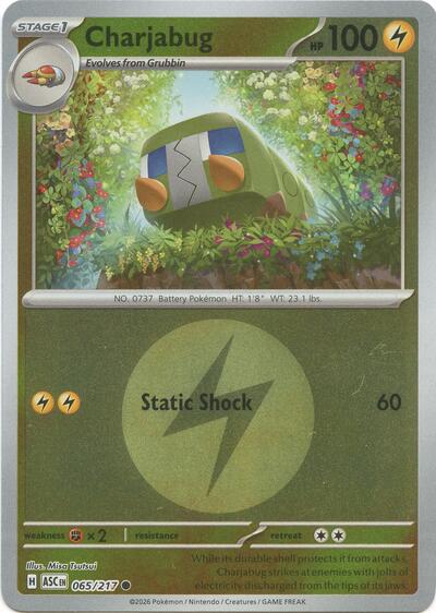 Charjabug - Energy Symbol Pattern - 065/217 - Common [me025-065] [Reverse Holo]