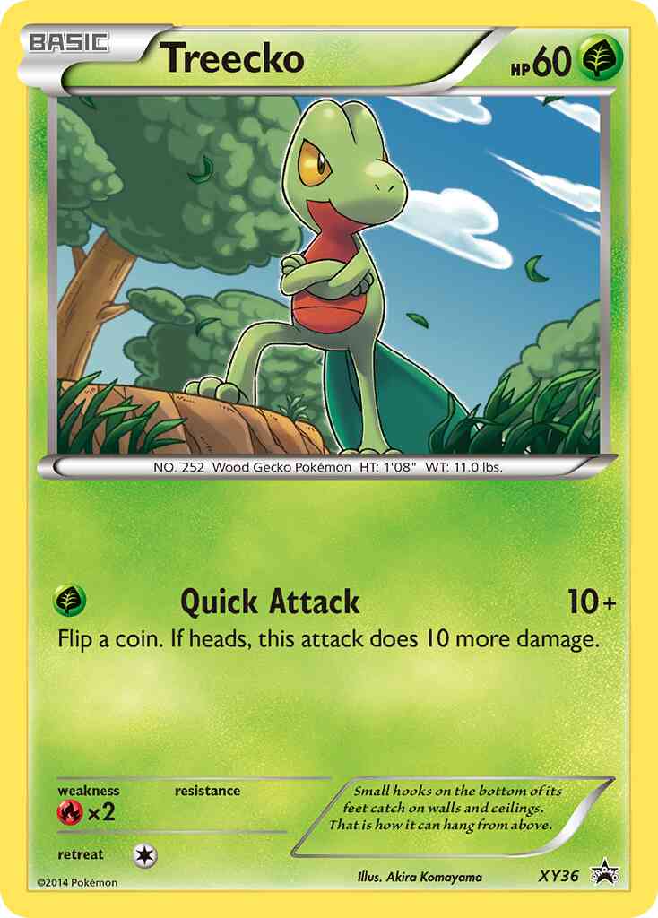 Treecko - XY36 - Promo [xyp-XY36] [Holo]