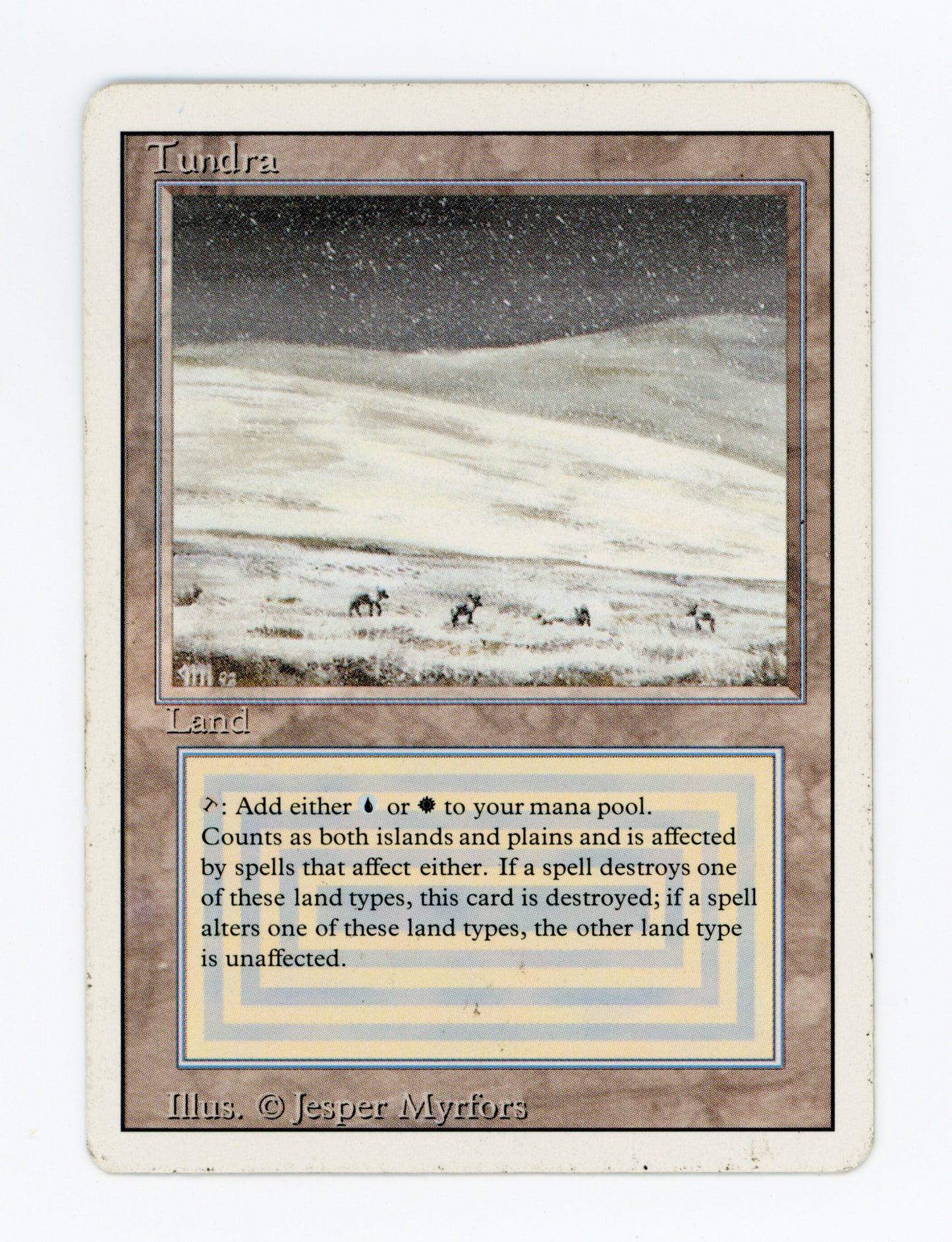 Tundra — ID 18682