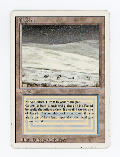 Tundra — ID 18682