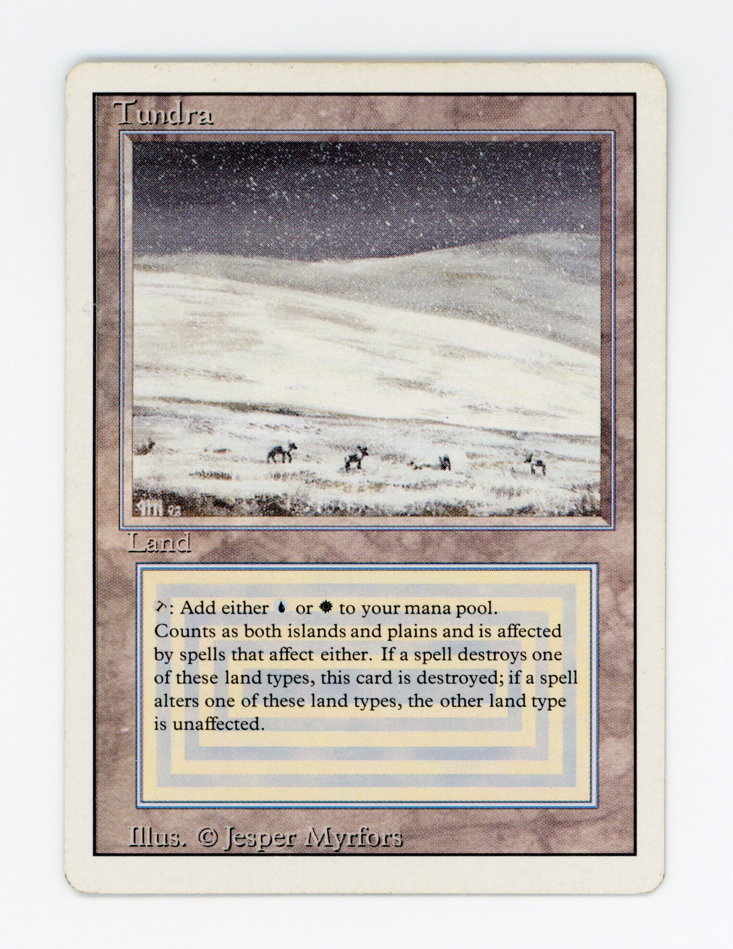 Tundra — ID 18258