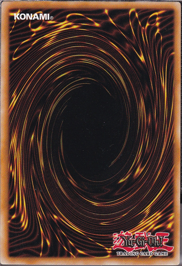 SIN-SCAN-11009