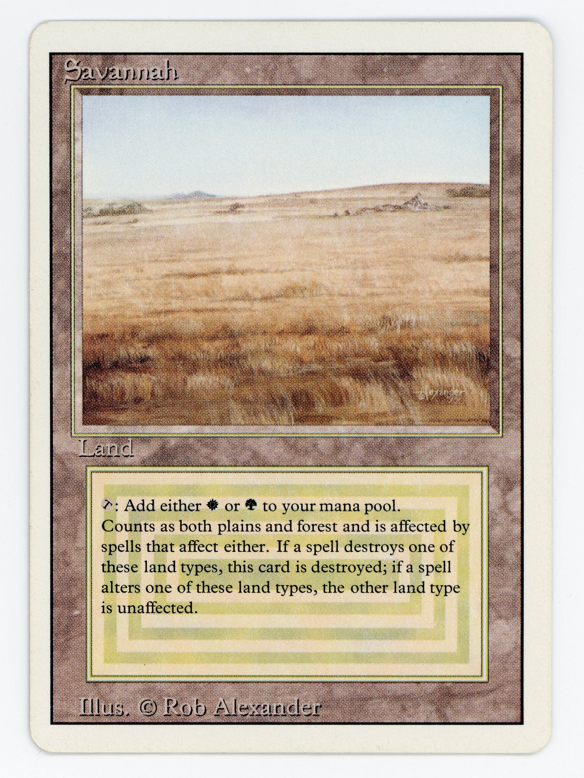SIN-SCAN-15369