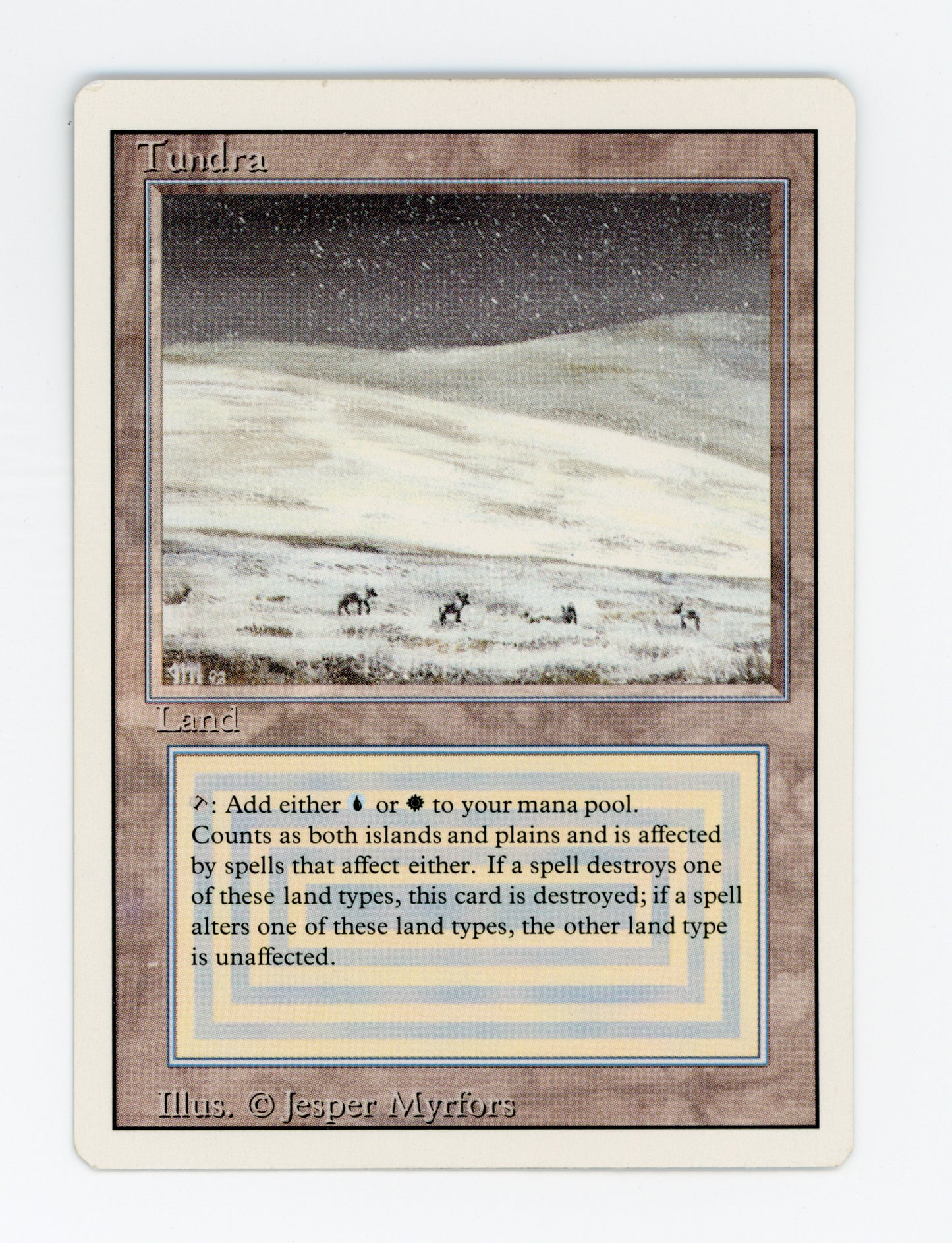 Tundra — ID 18477