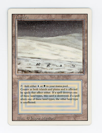 Tundra — ID 18477
