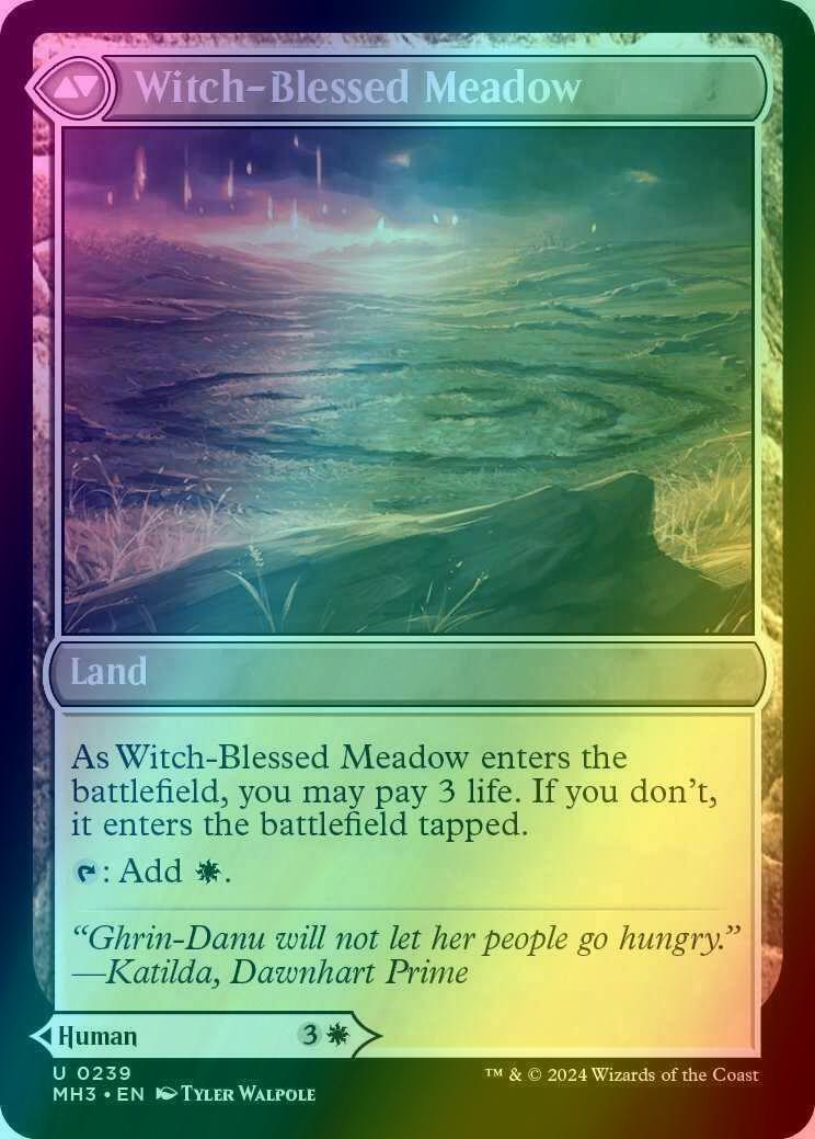 Witch Enchanter // Witch-Blessed Meadow [239] [Modern Horizons 3] [Foil]