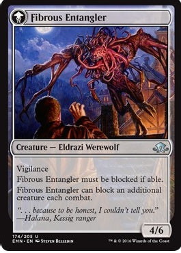 Tangleclaw Werewolf // Fibrous Entangler [174] [Eldritch Moon] [Non-Foil]