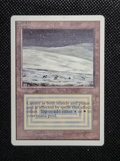 Tundra — ID 16973