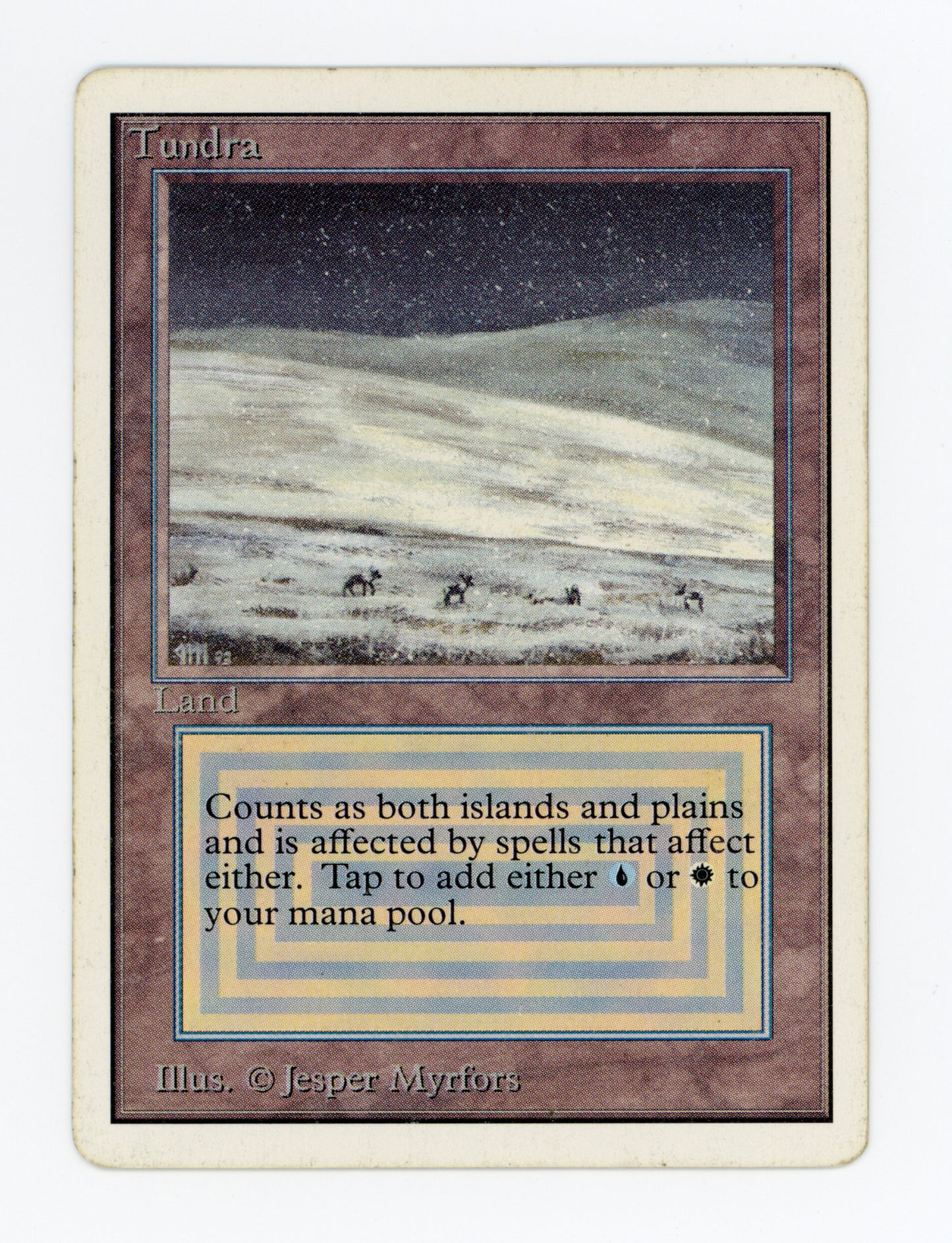 Tundra — ID 17629