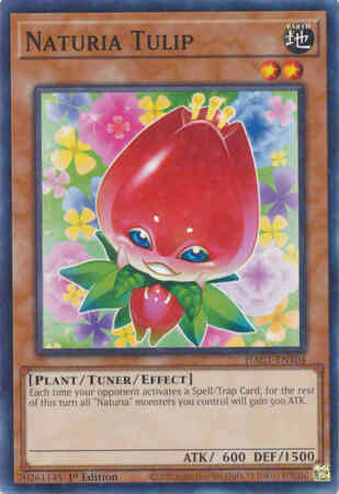 Naturia Tulip - HAC1-EN104 - Duel Terminal Normal Parallel Rare - 1st Edition