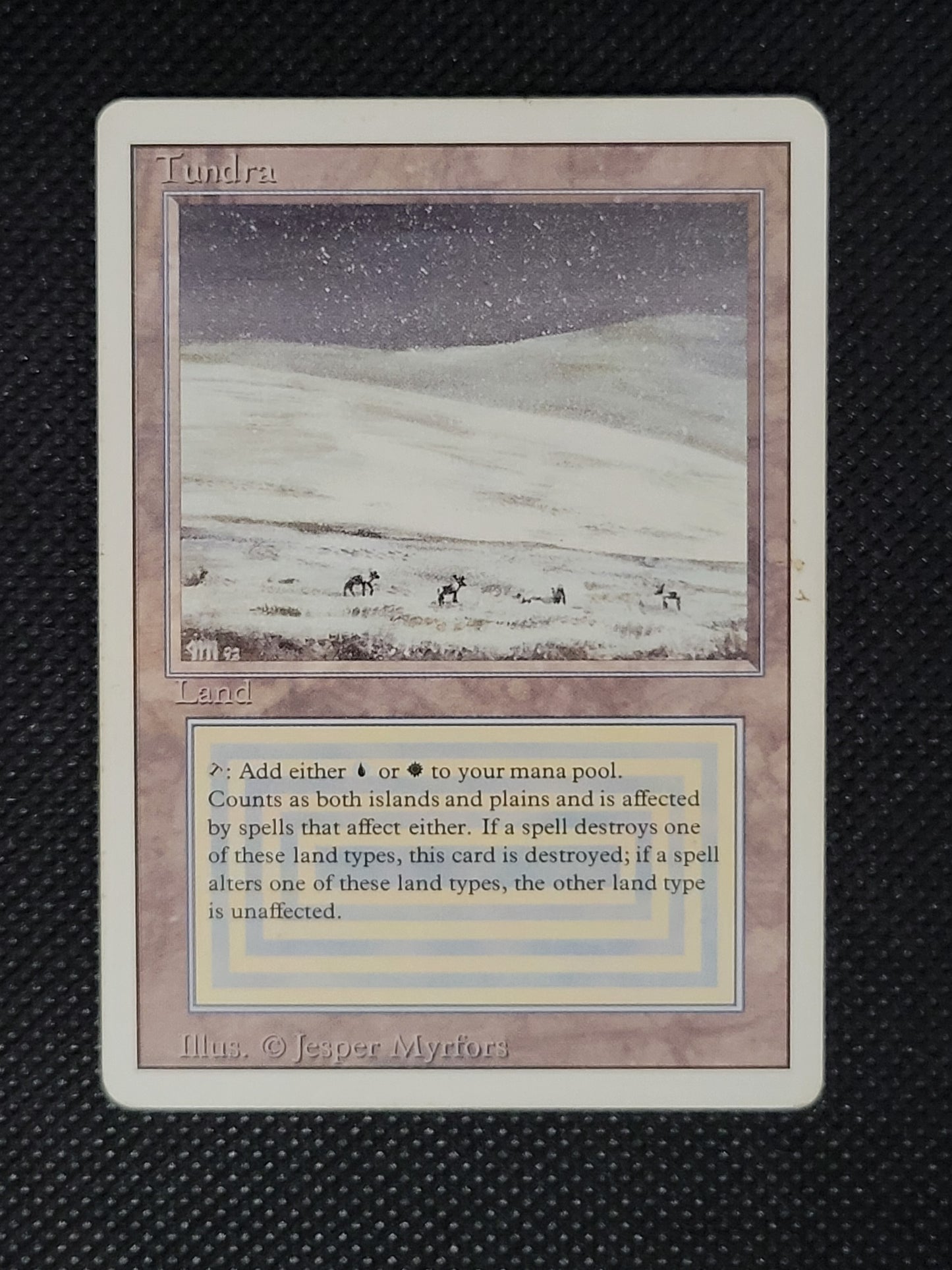 Tundra — Damaged — ID 18071