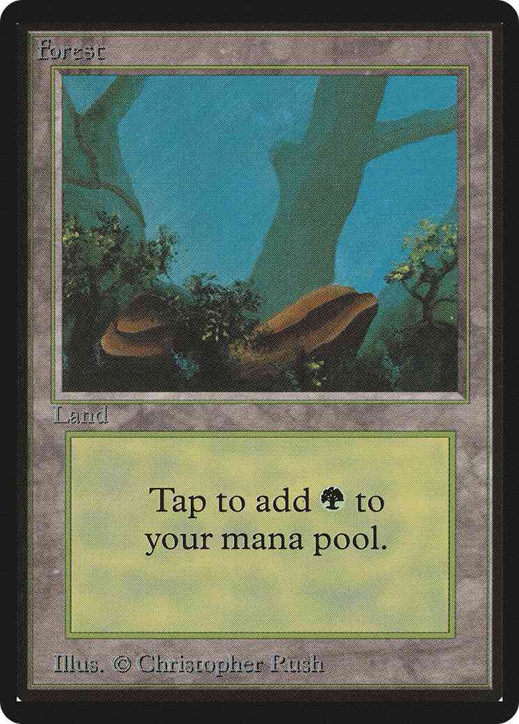 Forest [Rocks] [300] [Limited Edition Beta] [Non-Foil]