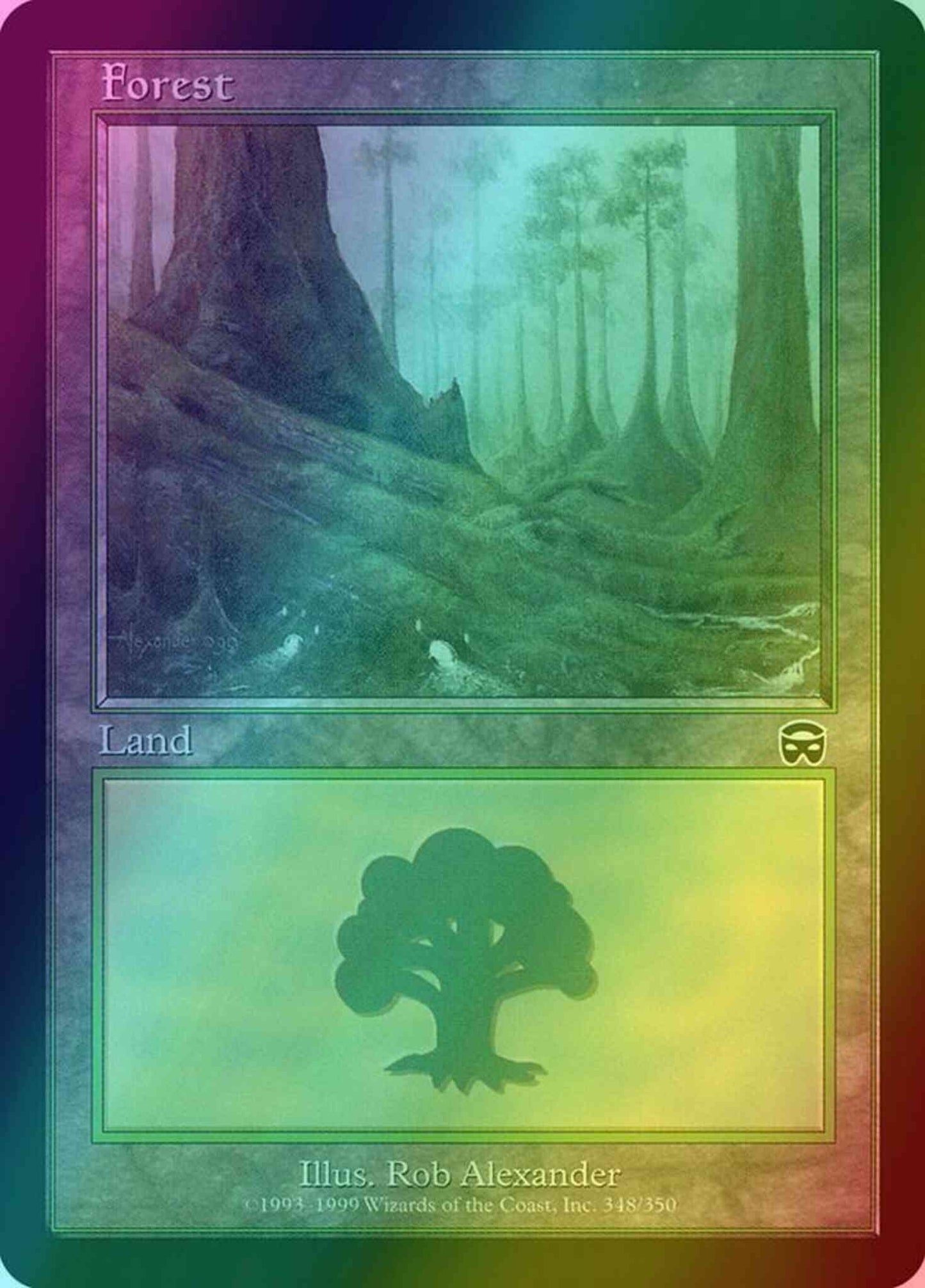 Forest [348] [Mercadian Masques] [Foil]