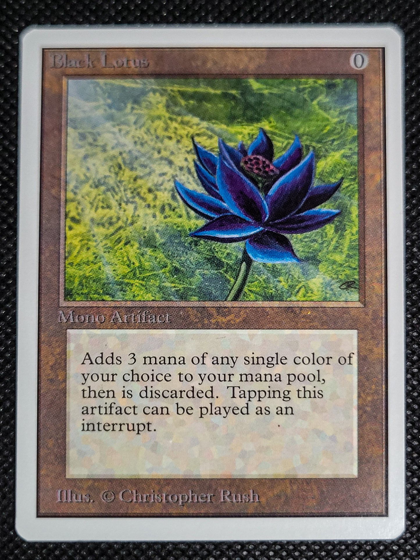 SIN-SCAN-16557_c