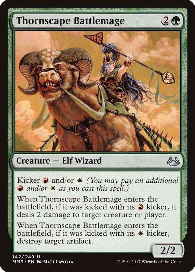 Thornscape Battlemage [142] [Modern Masters 2017] [Non-Foil]