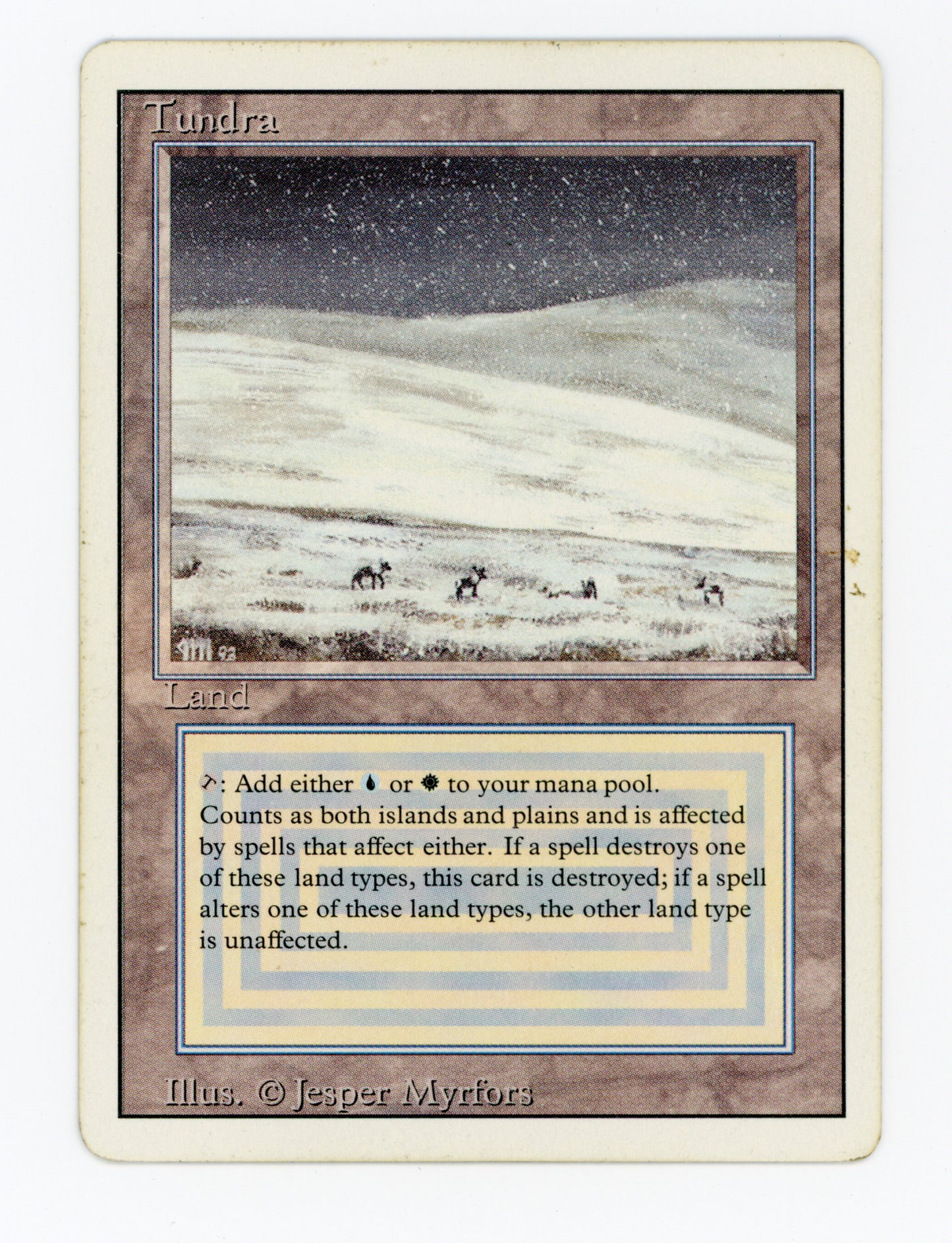 Tundra — Damaged — ID 18071