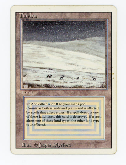 Tundra — Damaged — ID 18071