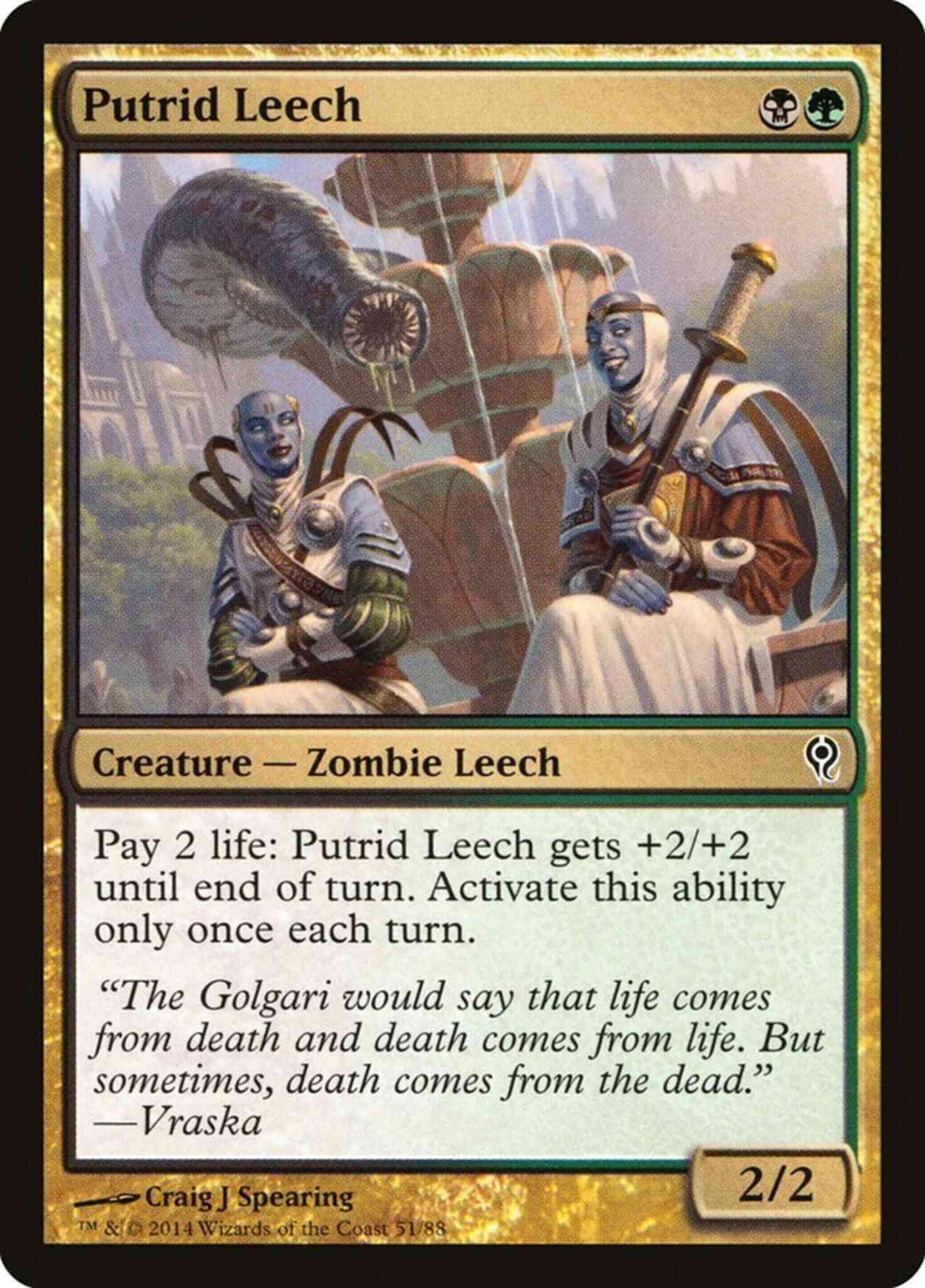 Putrid Leech [51] [Duel Decks Jace vs Vraska] [Non-Foil]