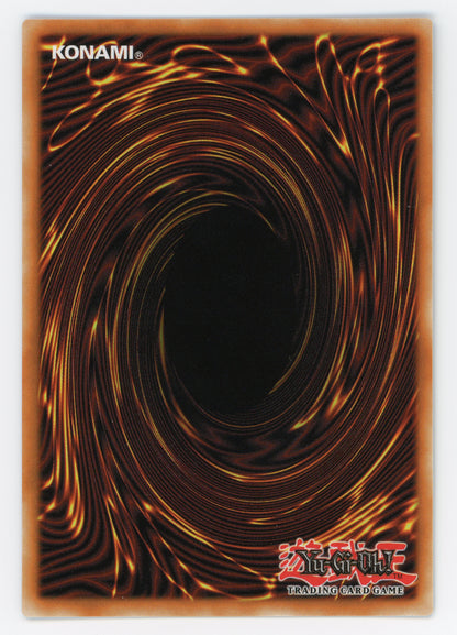 SIN-SCAN-15576