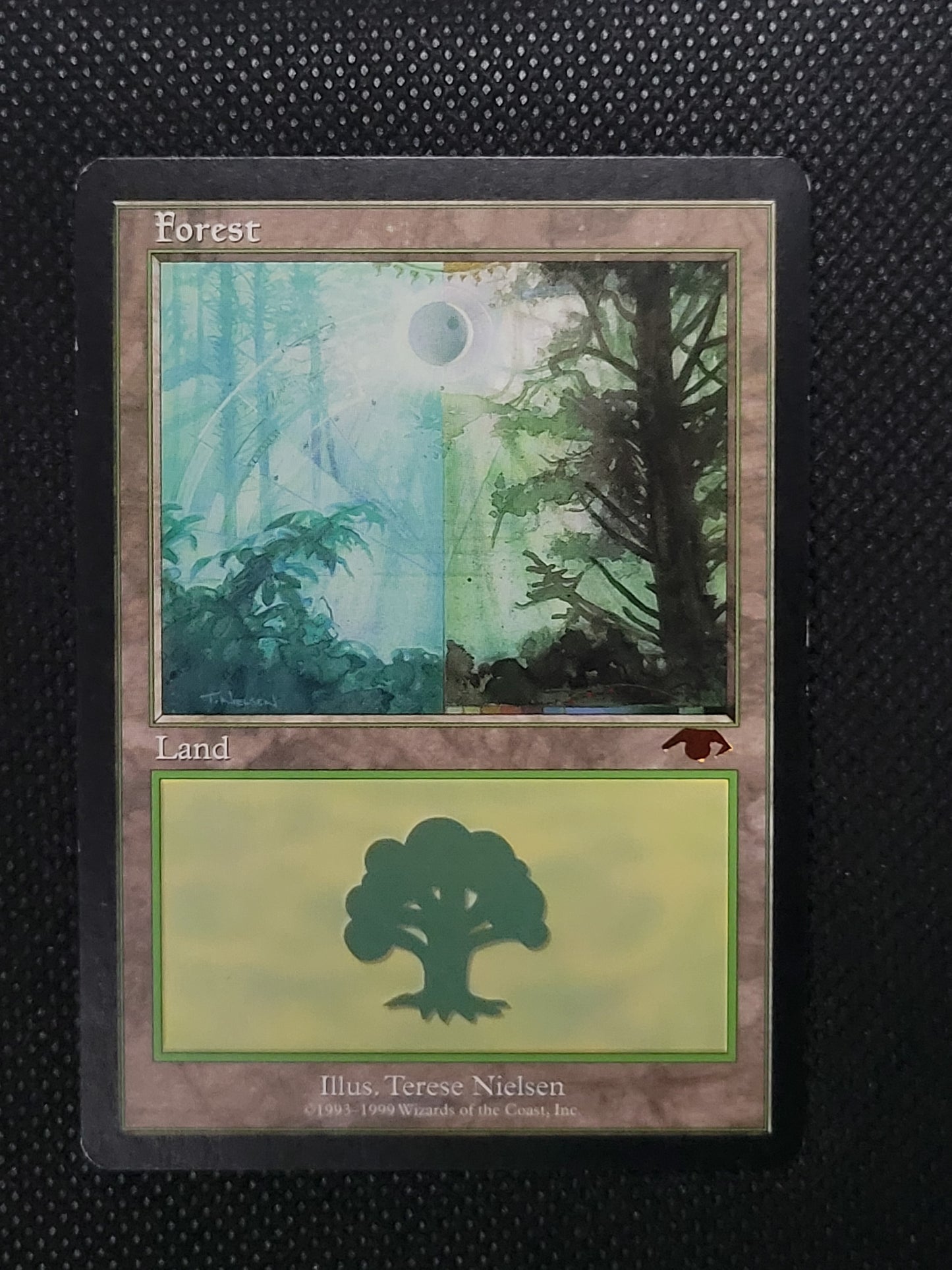 Forest — ID 17637