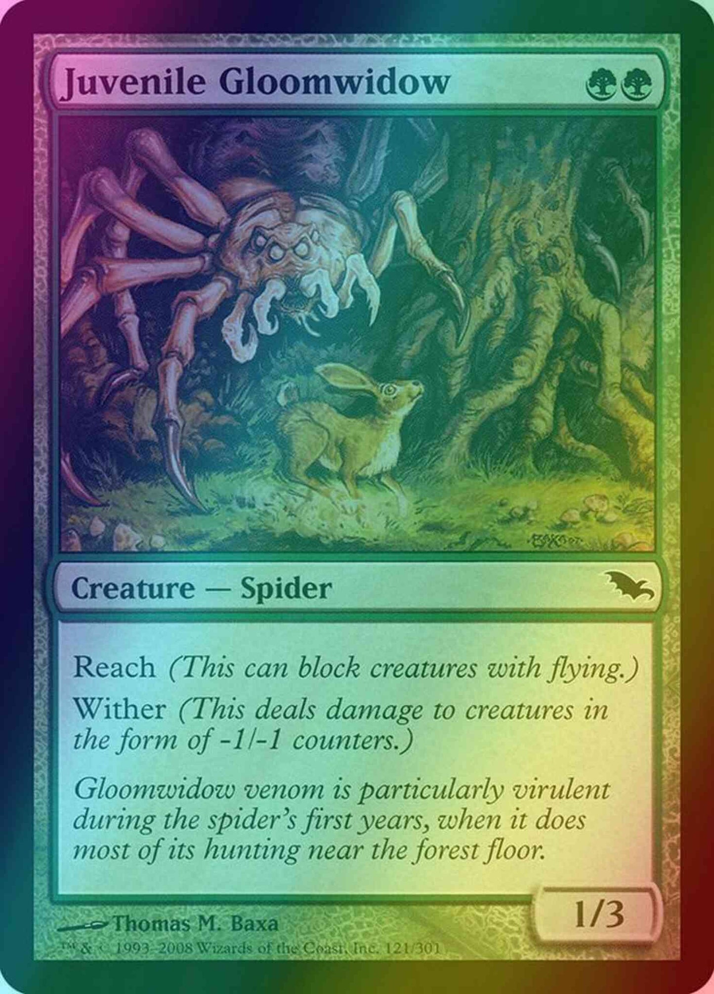 Juvenile Gloomwidow [121] [Shadowmoor] [Foil]