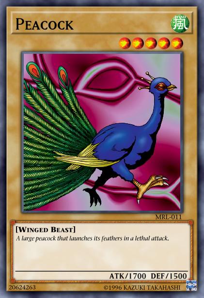 Peacock - MRL-011 - Common - 1st Edition