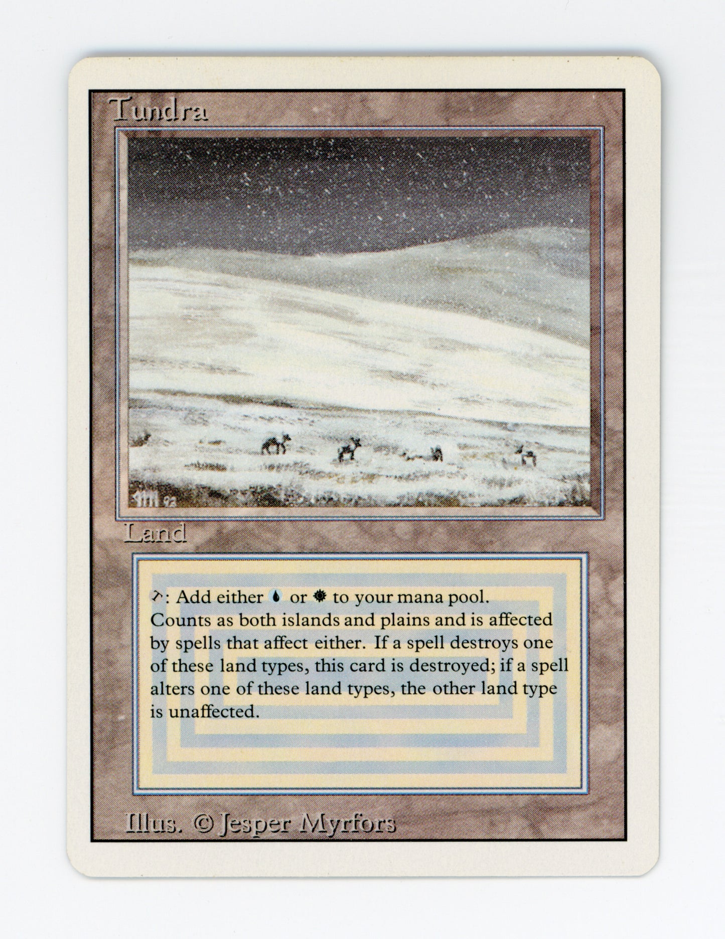 Tundra — ID 18476