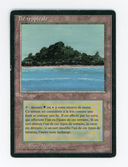 Tropical Island — French — ID 18677