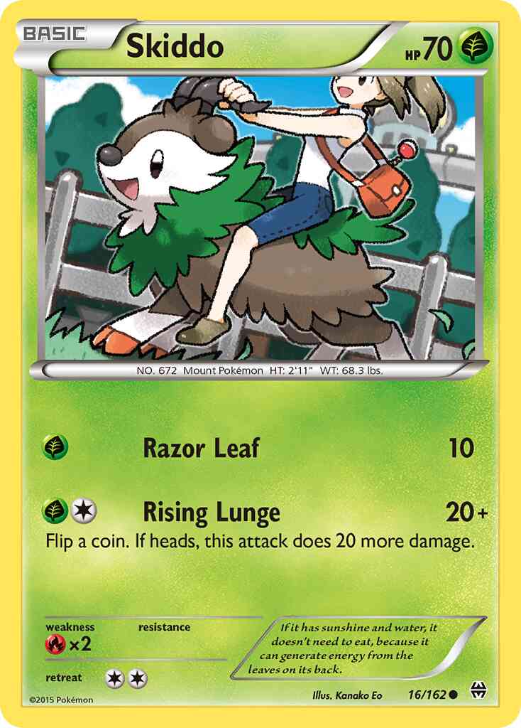 Skiddo - 16/162 - Common [xy8-16] [Non-Holo]