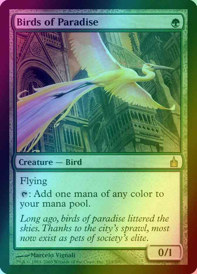 Birds of Paradise [153] [Ravnica City Of Guilds] [Foil]