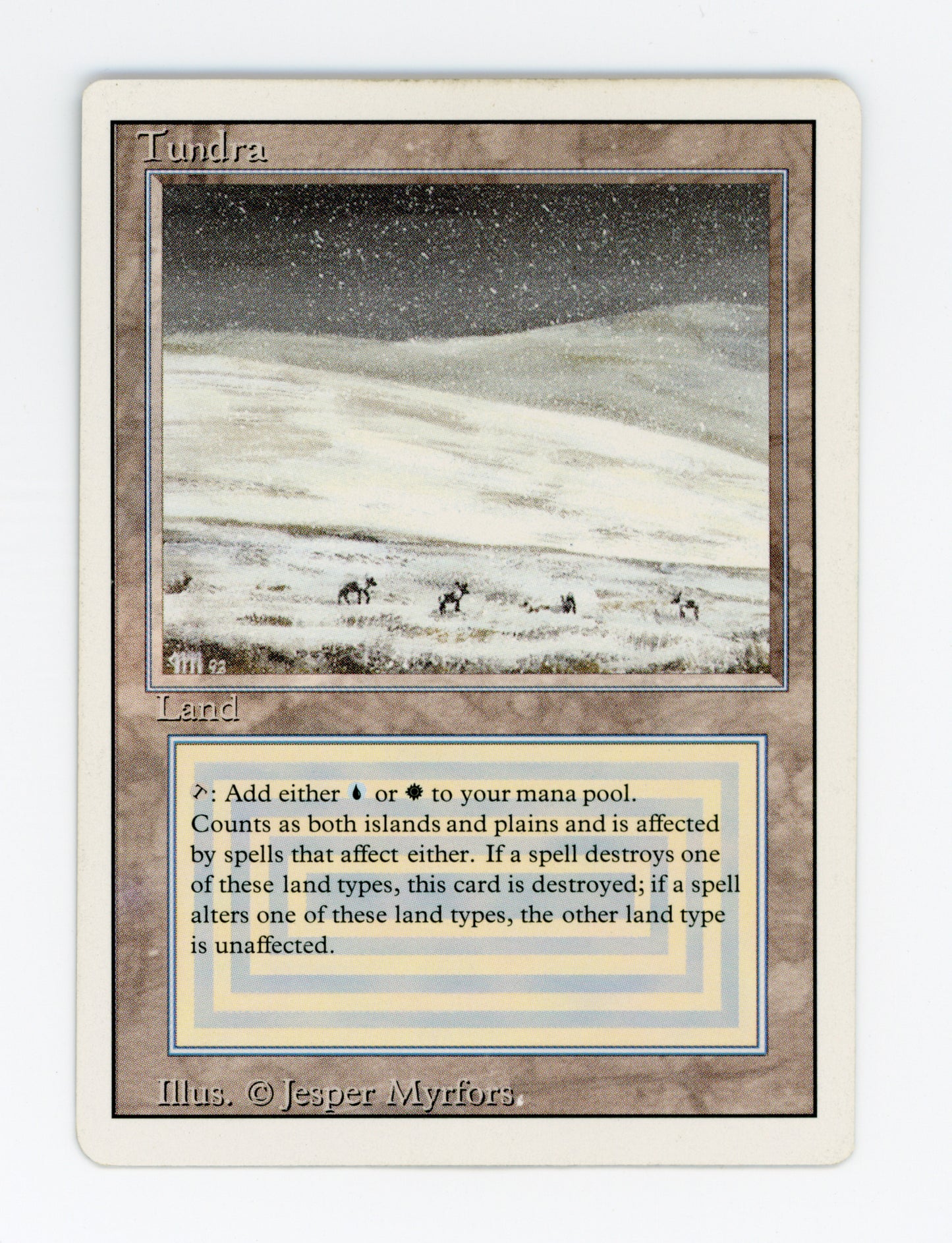 Tundra — ID 18561